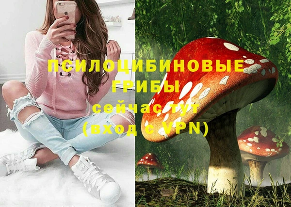 гашик Армянск