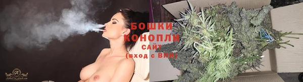 твердый Аркадак