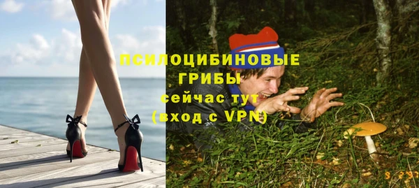 гашик Армянск