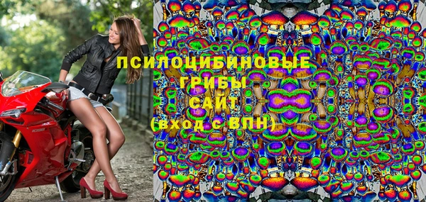 твердый Аркадак