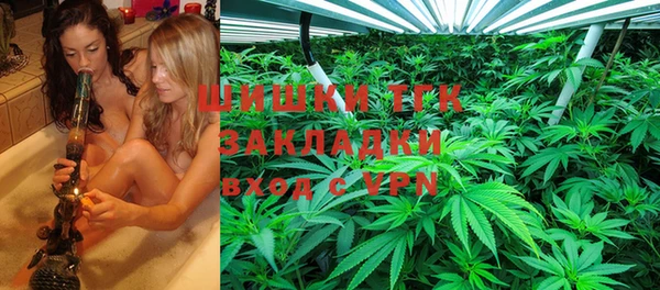 твердый Аркадак