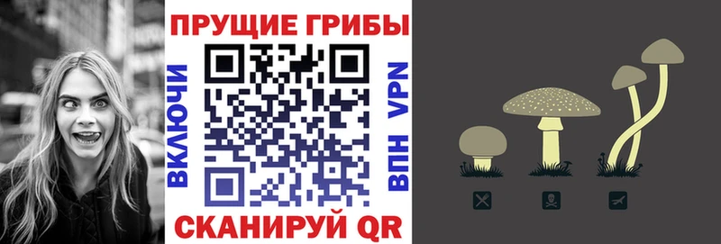darknet клад  Лагань  Галлюциногенные грибы мухоморы 